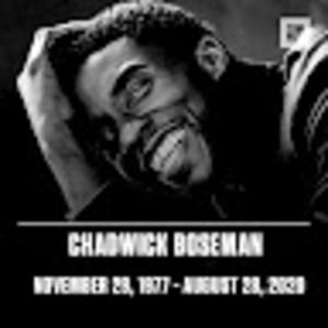 Meet your Posher, Damon